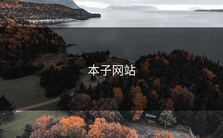 本子网站